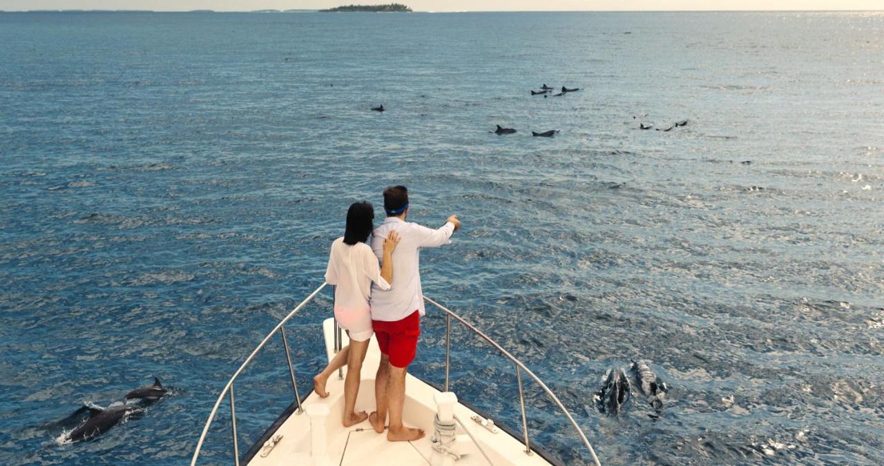 Kandima Maldives Kudahuvadhoo Bagian luar foto Dolphins in the Red Sea