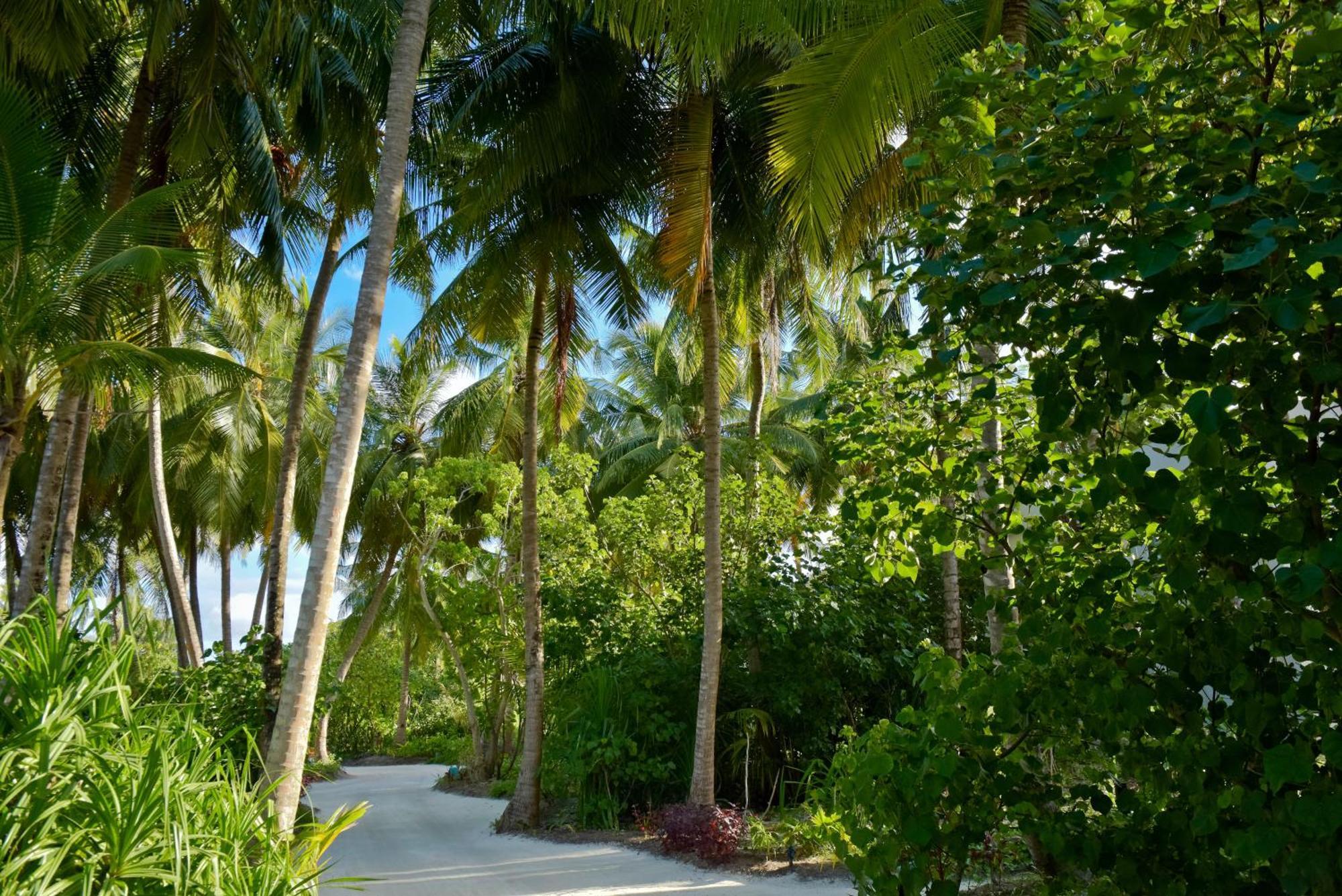 Kandima Maldives Kudahuvadhoo Bagian luar foto A road in Maldives